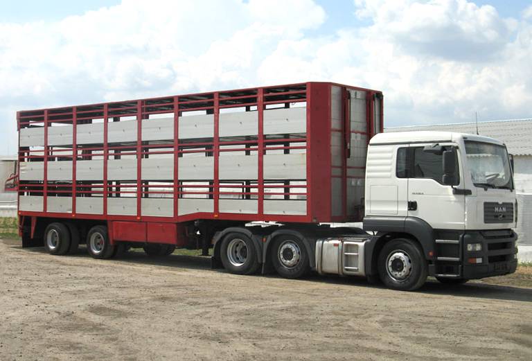 Прицеп для перевозки крупного рогатого скота из Новоселицы в Светлицы